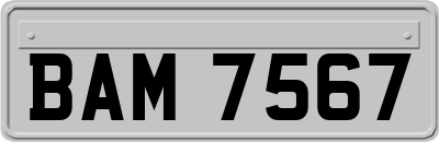 BAM7567