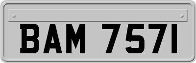 BAM7571