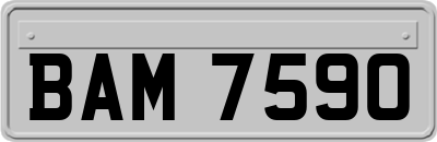 BAM7590