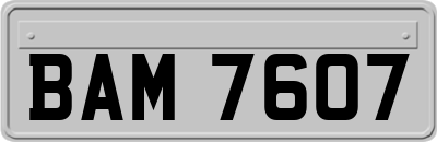 BAM7607