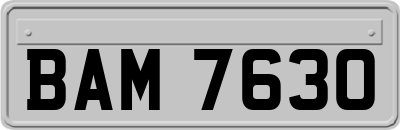 BAM7630
