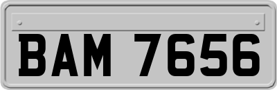 BAM7656