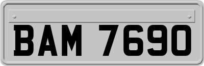 BAM7690