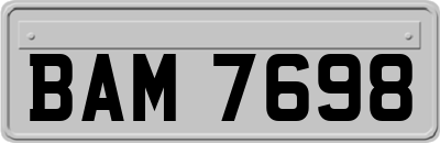 BAM7698