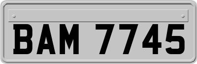 BAM7745