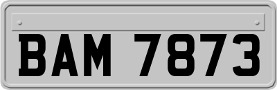 BAM7873