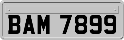 BAM7899