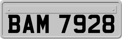 BAM7928