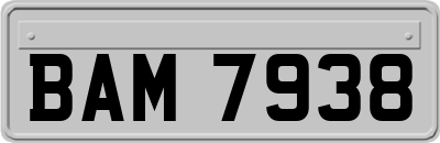 BAM7938