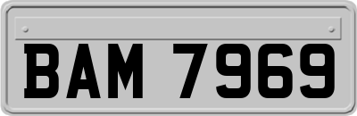 BAM7969