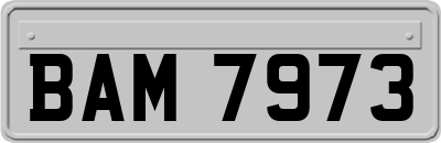 BAM7973