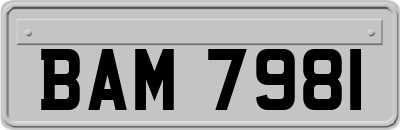 BAM7981