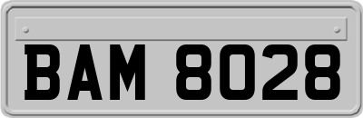 BAM8028