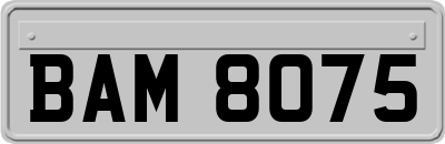 BAM8075