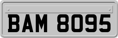 BAM8095
