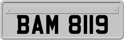 BAM8119