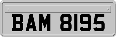 BAM8195