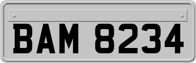 BAM8234
