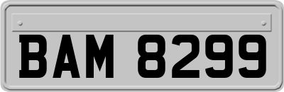 BAM8299