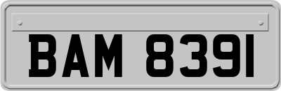 BAM8391