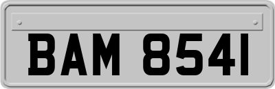 BAM8541