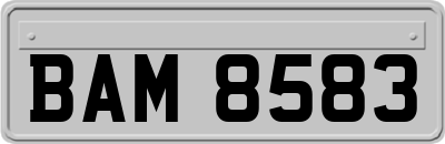 BAM8583