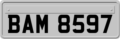 BAM8597