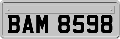 BAM8598