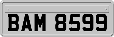 BAM8599