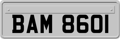 BAM8601