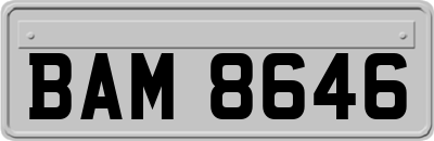 BAM8646