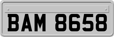 BAM8658