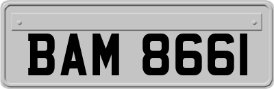 BAM8661