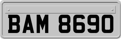 BAM8690