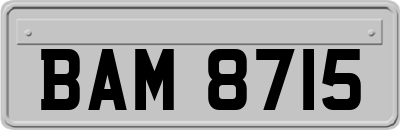 BAM8715