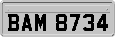 BAM8734