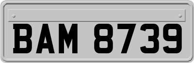 BAM8739