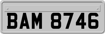 BAM8746