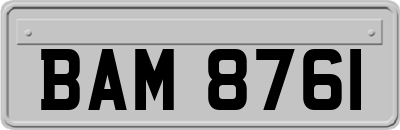 BAM8761