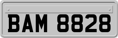 BAM8828