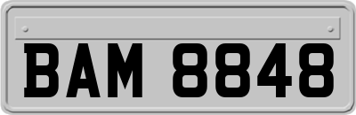 BAM8848