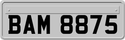 BAM8875