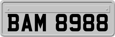 BAM8988