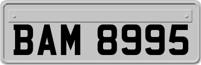 BAM8995