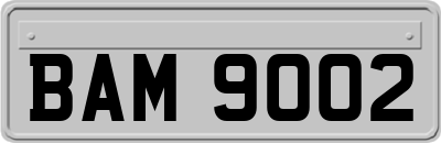 BAM9002