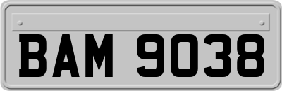 BAM9038