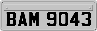 BAM9043