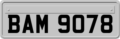 BAM9078