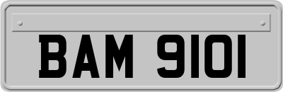 BAM9101
