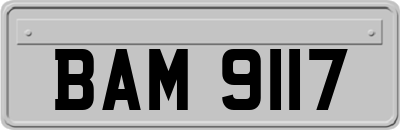 BAM9117